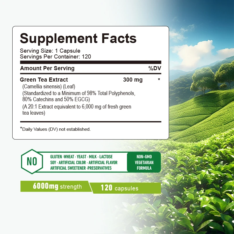 Green Tea Capsules - Boosts Me – обзор и цена Green Tea Extract Fat