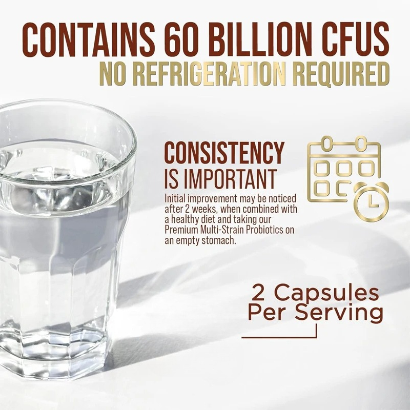 Each Serving Contains 60 Billi – обзор и цена Probiotic 60 Billion