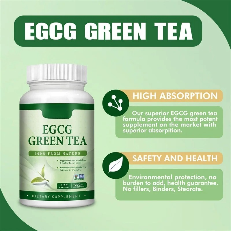 EGCG Green Tea Extract - Boost – обзор и цена Green Tea Extract Fat