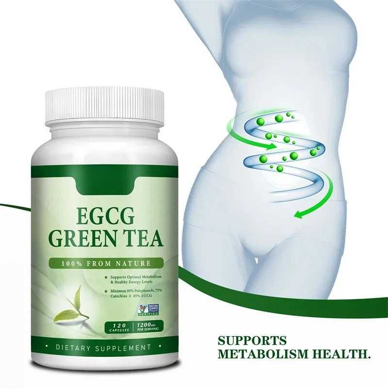 EGCG Green Tea Extract - Boost – обзор и цена Green Tea Extract Fat