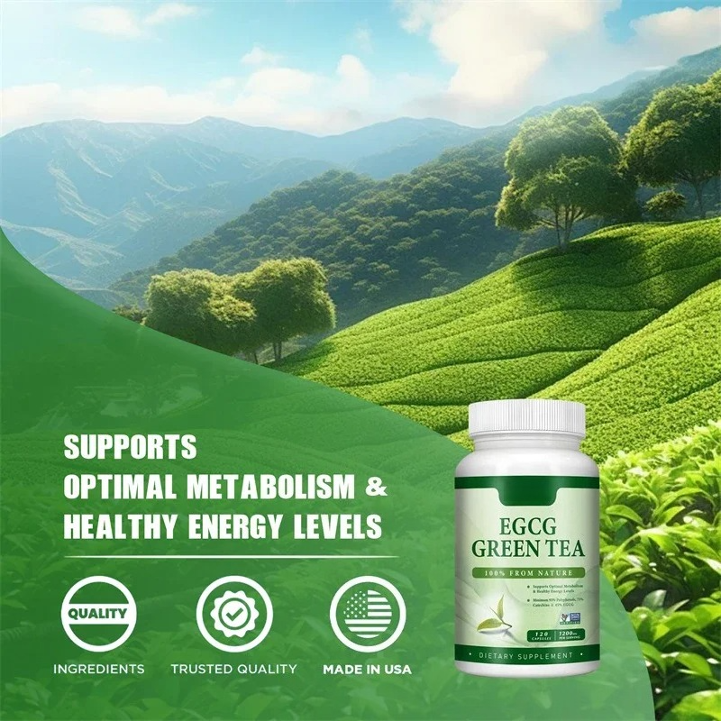 EGCG Green Tea Extract - Boost – обзор и цена Green Tea Extract Fat