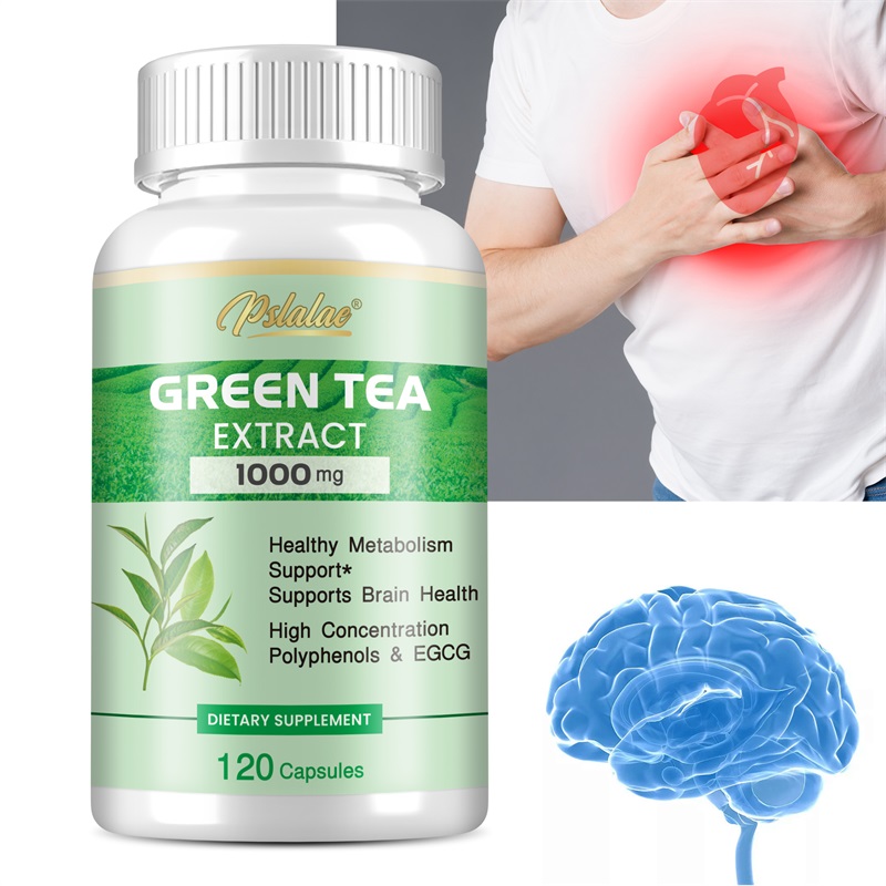 Green Tea Extract - with 98% P – обзор и цена Green Tea Extract Fat