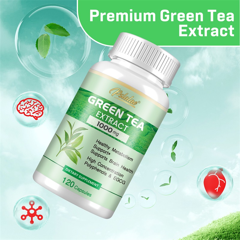 Green Tea Extract - with 98% P – обзор и цена Green Tea Extract Fat