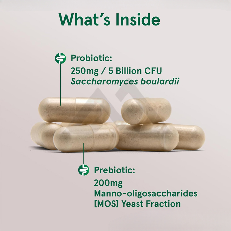 Probiotics+MOS 5 Billion Colon – обзор и цена Probiotic 60 Billion