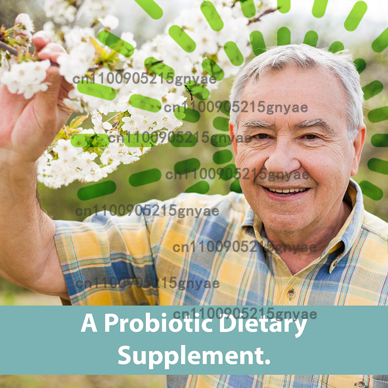 Lactobacillus Probiotics 20 Bi – обзор и цена Probiotic 60 Billion