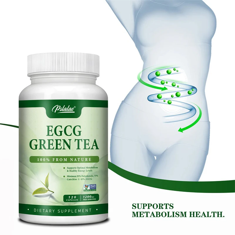EGCG Green Tea Extract - Boost – обзор и цена Green Tea Extract Fat